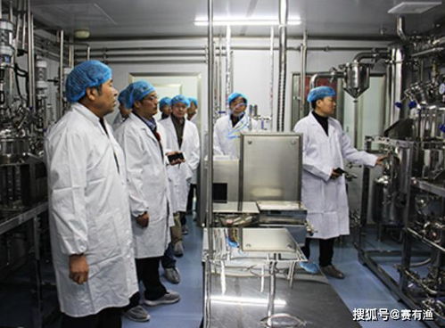 2020年什么生意最賺錢 賽有漁助你一夜爆富
