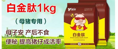 【母豬產(chǎn)仔不多,總是三五個,怎么辦?如何提高母豬多產(chǎn)仔,母豬便秘不食怎么解決】-