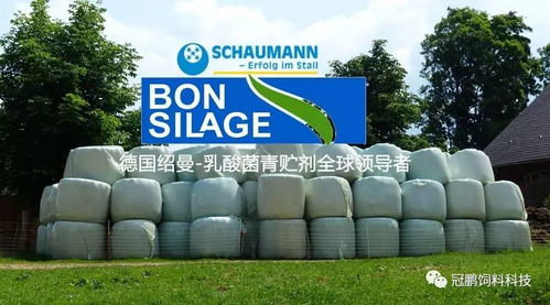 北京三元 天津嘉立荷 使用德國紹曼青貯添加劑產品 保時青 對青貯飼料發酵質量及生產性能影響的報告 1 2