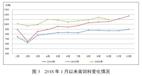 2020年10月份全國飼料生產形勢